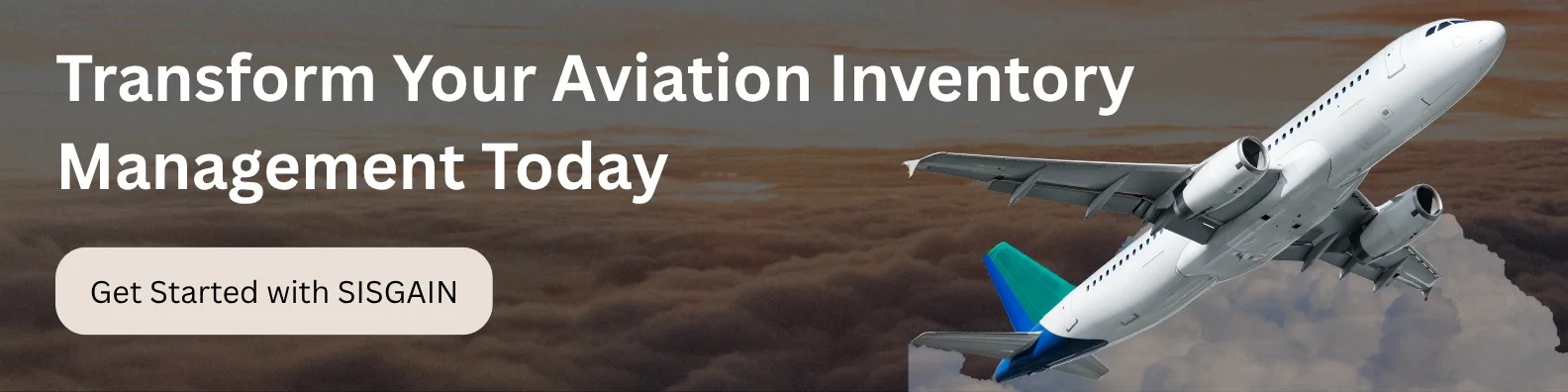 build aviation inventory software