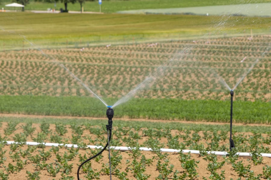 Sprinklers irrigating a crop field
