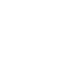 Model Fine-Tuning Services