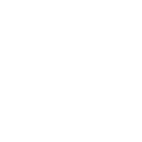 AI Integration Services