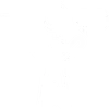 Fitness Wellness AI Chatbot Dubai