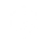Customized Risk Frameworks Icon