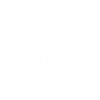 Transparent Reporting Icon