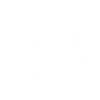 Security Icon