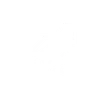 Security Icon