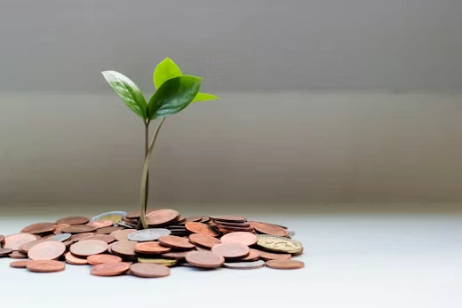 Collections — revenue cycle management service in Dubai