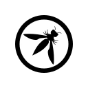 Vulnerability Testing