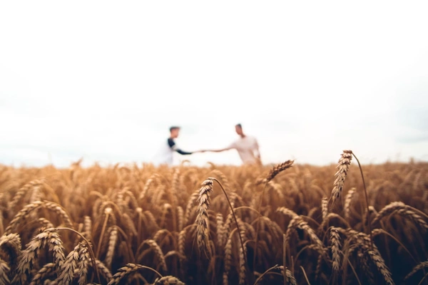 Agribusiness UI/UX Design Dubai