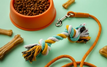Pet care chain with cats and dogs