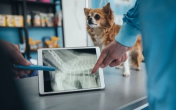 Pet electronic medical records on tablet