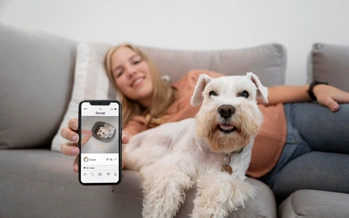 Pet owner mobile app in hand