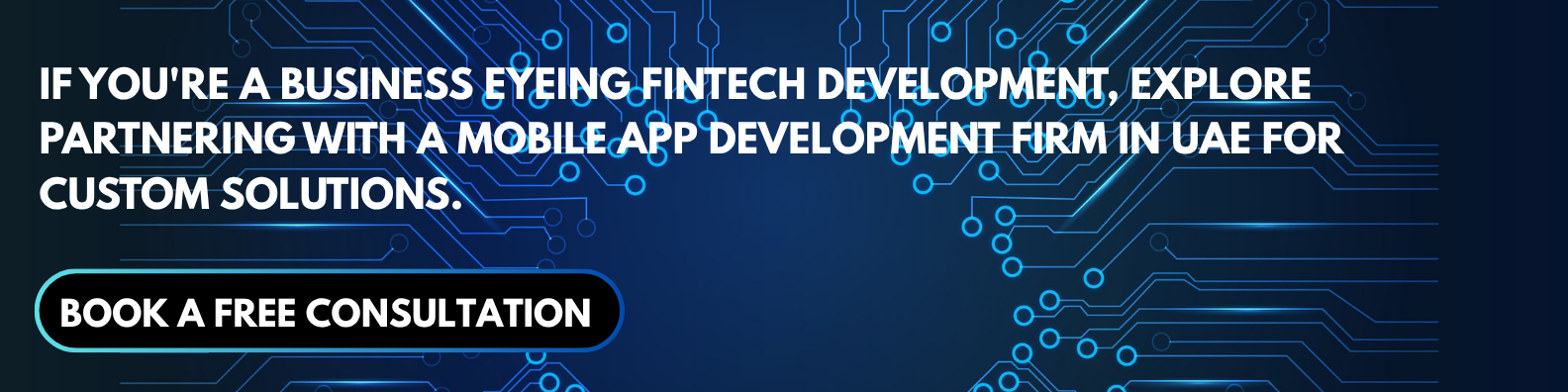 fintech app development uae