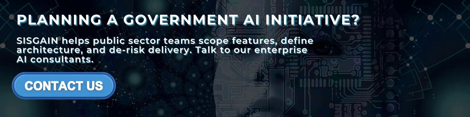ai consulting for government