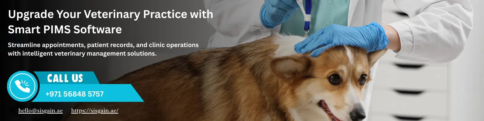 upgrade veterinary practice smart pims software